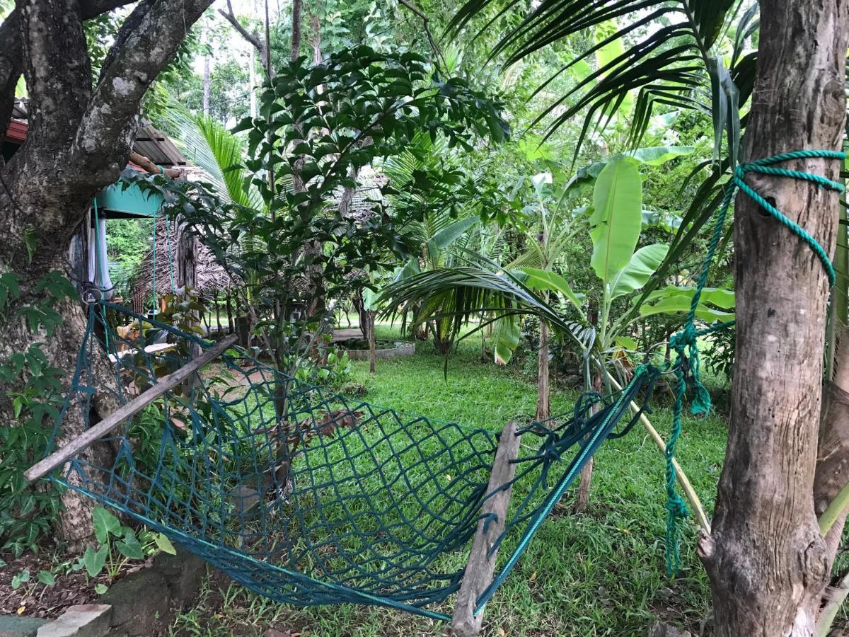 Sigiriya Village Home Stay Kültér fotó