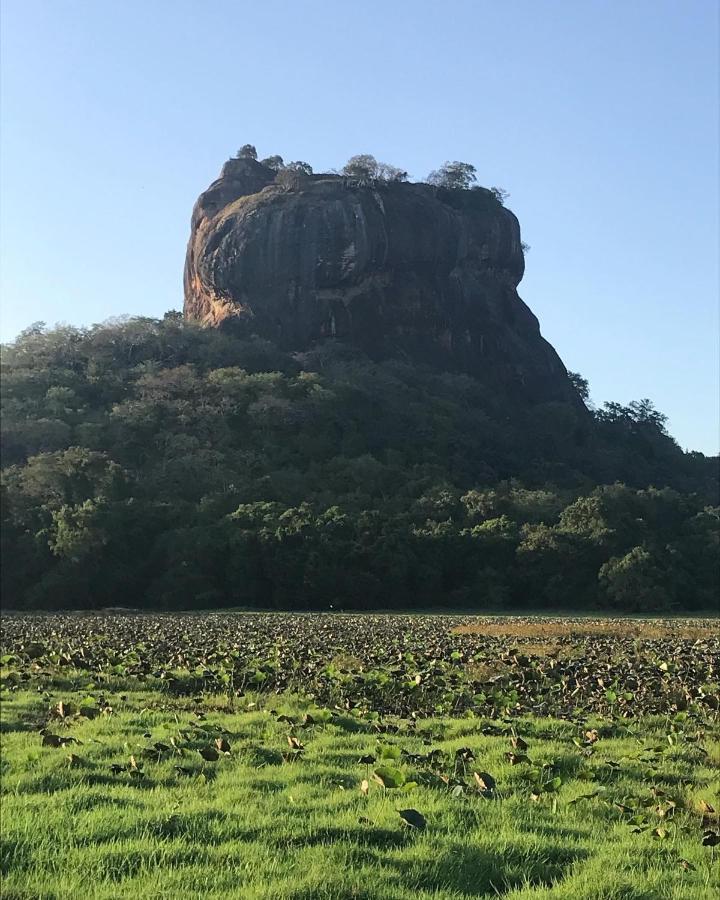 Sigiriya Village Home Stay Kültér fotó